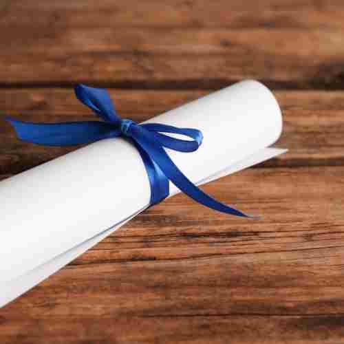 Brain Gym Consultant Instructor Training Kurs